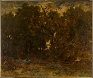 Az erdő elhagyása, Fontainebleau: Fontainebleau: Lemenő Nap