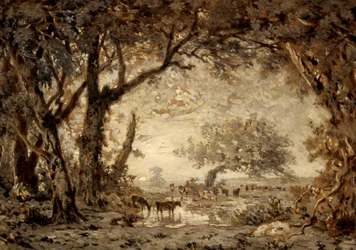 Naplemente a fontainebleau-i erdőből