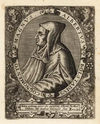 Albertus Magnus német katolikus püspök.