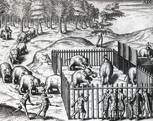 Theodor de Bry (1528-1598) elefántvadászata Pegu királyságában (ma Mianmar), metszet