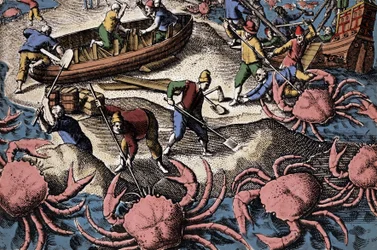 Európai navigátorok harcolnak a nagy rákokkal. Metszet Theodore de Bry „Petities voyages aux Indes Orientales” című könyvéből