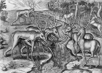 Floridai indiánok vadásznak, szarvasnak álcázva, Amerikai Egyesült Államok, metszet: Theodor de Bry (1528-1598)
