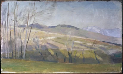 A Lavaux-hegyvidék