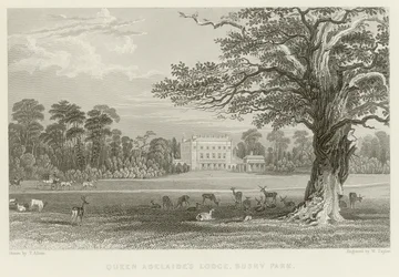 Queen Adelaide