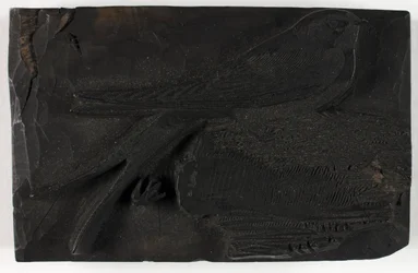Woodblock a fecske számára, A brit madarak történetéből