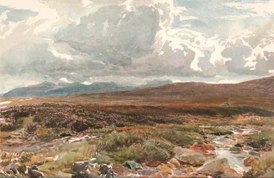 A Sussex Common, 1889