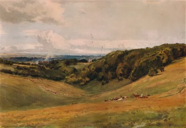 Arundel Park, Szarvassal, 1880