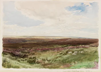 Lápvidék Hart Leap Well közelében, Yorkshire-ben