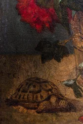 Bouquet de fleurs, részlet : tortue, 1862 vagy 1871 körül (olaj, vászon)