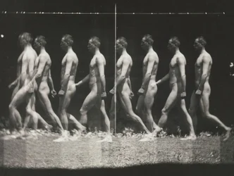 [Man Walking, Stroboscopic Photograph], 1880-as évek, nyomtatott 1930-40-es évek, 1880-as évek, nyomtatott 1930-40-es évek.