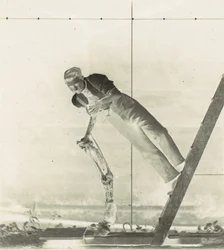 Férfi létrán, felmetszett lólábbal, 1880-as évek.