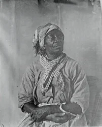 Azonosítatlan Sitter, c. 1884.