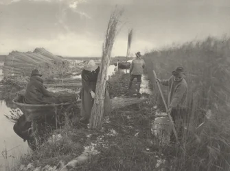 A nádaratás idején,1886 (fotó)