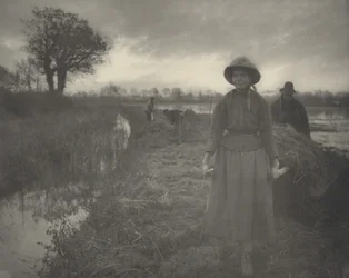 A mocsári széna polírozása,1886 (fotó)