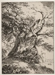 A poliautográfia példányai: Táj tölgyfával, 1803.