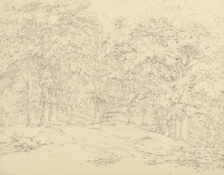 Fák az Ashtead Parkban, Surreyben