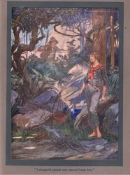 Tíz lépésnyire álltam meg tőle (színes litho)
