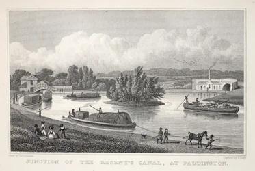 A Regent