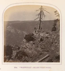 "Wahwonah" - vagy Big Tree Point