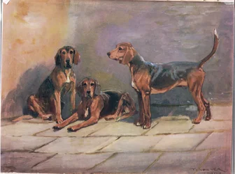 Kutyák, illusztráció a "Hounds"-ból