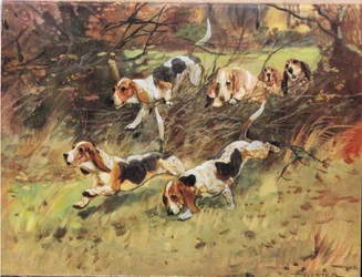 A sövényen keresztül, illusztráció a „Hounds”-ból
