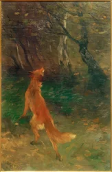 Fox egy madarat néz