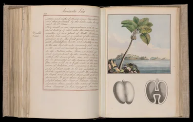 Etiópiai Afrika. "A földgömb körvonalai" vagy "Képzeletbeli világkörüli utazás" huszonhárom kötetben - Thomas Pennant (1726-1798) természettudós, utazó és író elbeszélései, természetrajzai és vázlatai.