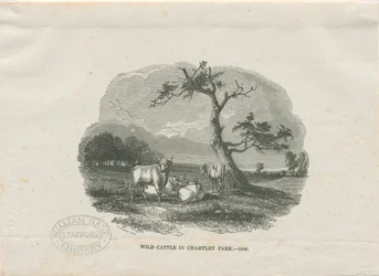 Chartley Hall - Park: fametszet