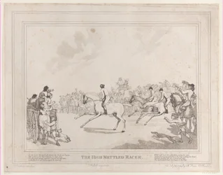 A Versenyló a Versenyló életéből, avagy The High-Mettled Racer, 1789. július 20..., július 20.