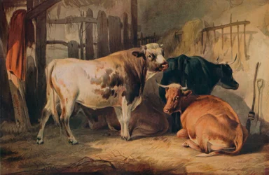 Egy bika és három tehén egy istállóban, 1856