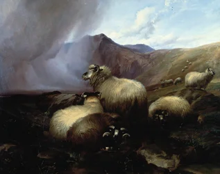 Felvidéki juhok hegyvidéki tájon, 1854