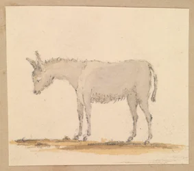 Szamártanulmány, 1820 körül (toll, tus, tus, vízfesték, akvarell)