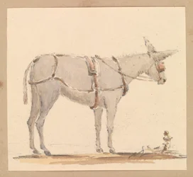Szamár tanulmánya kantárral és hámmal, 1820 körül (ceruza, barna és szürke mosás, papír)