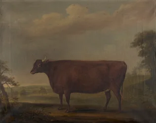 Vörös devoni üszők tájban, 1812 körül (olaj, vászon)