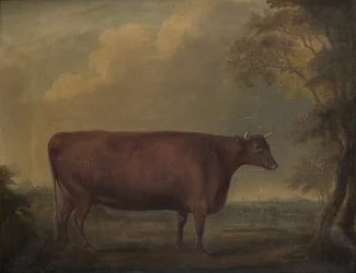 Vörös devoni üszők tájban, 1812 körül (olaj, vászon)