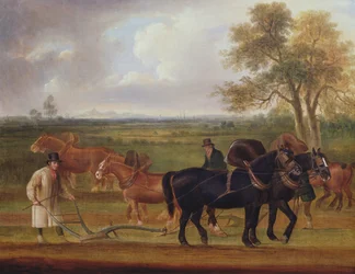 A szántógyufa, 1813