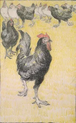 Fekete és fehér tyúkok által követett kakas, 1899