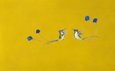Kolibri ( akvarell és gouache papíron )