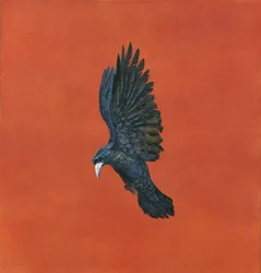 Fényes-piros, (akvarell és gouache Arches 640 gsm papíron,) 101,6 x 91,4 cm