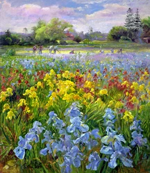 Kapálócsapat és Iris Fields