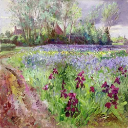 Iris Field, Vihargyűjtés