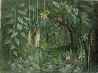 Brazília orchideavadászai