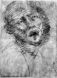 Egy mór fejének tanulmánya, 1525 körül, 1937