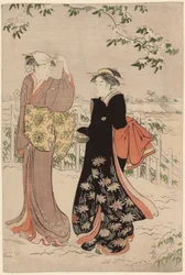 Matsuchi-hegy havazás után