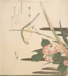 Pacsirta és kamélia, kb. 1815-20.