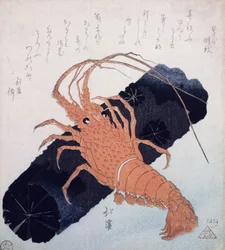 Langoustine faszéntömbbel, 1830 körül (színes fatömbnyomat)
