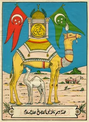Száleh teve, 7. szúra, 71. vers: (...) Istennek ez a tevéje jel számodra (...). Népszerű képek, Tunézia