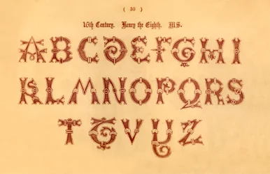 16. század. Nyolcadik Henrik. MS., 1862