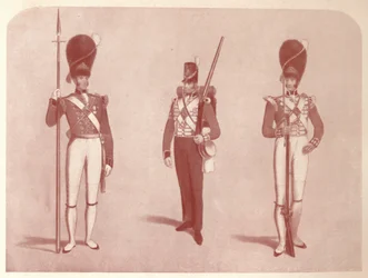 1. vagy gránátos őrezred 1815-ben, 1909-ben