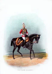 2. életőr, 1888